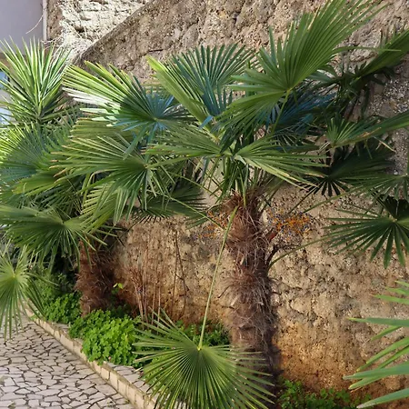 Bellavido Mostar